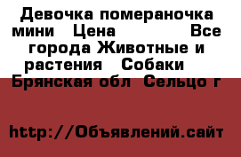 Девочка помераночка мини › Цена ­ 50 000 - Все города Животные и растения » Собаки   . Брянская обл.,Сельцо г.